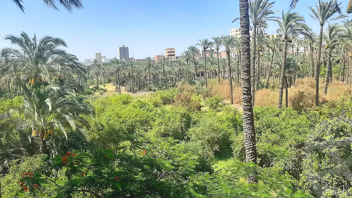 https://aqarmap.com.eg/en/listing/7135674-for-sale-cairo-faisal-awel-faisal