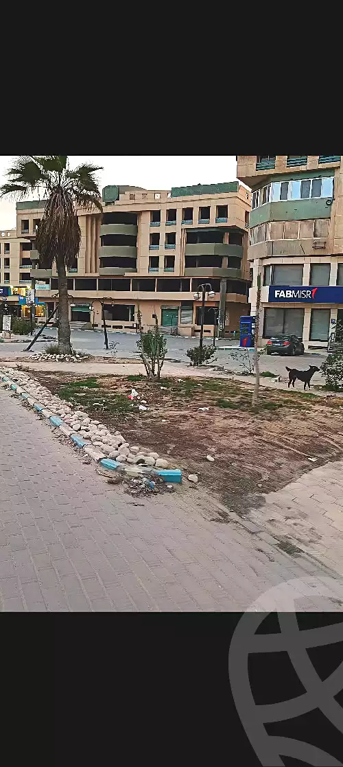 https://aqarmap.com.eg/en/listing/7109574-for-sale-cairo-downtown-bab-el-loaa-el-tahrir-st