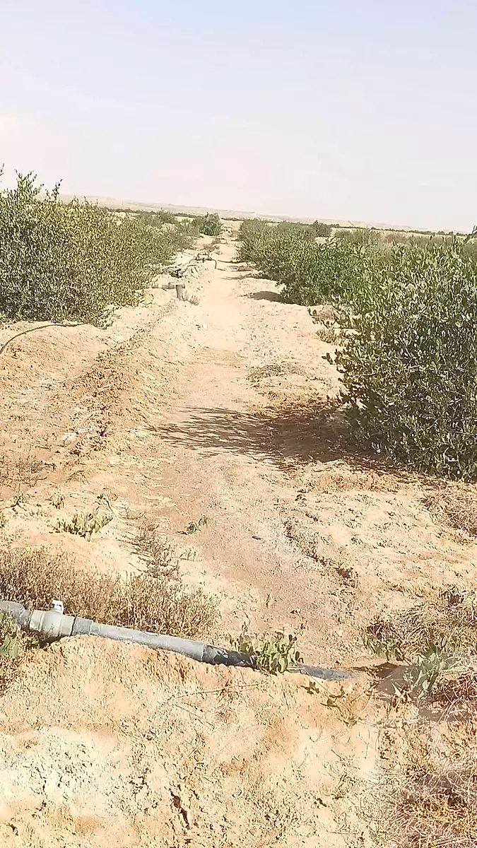 https://aqarmap.com.eg/ar/listing/7139214-for-sale-ismailia-ismailia-city-kanat-al-sweis-st