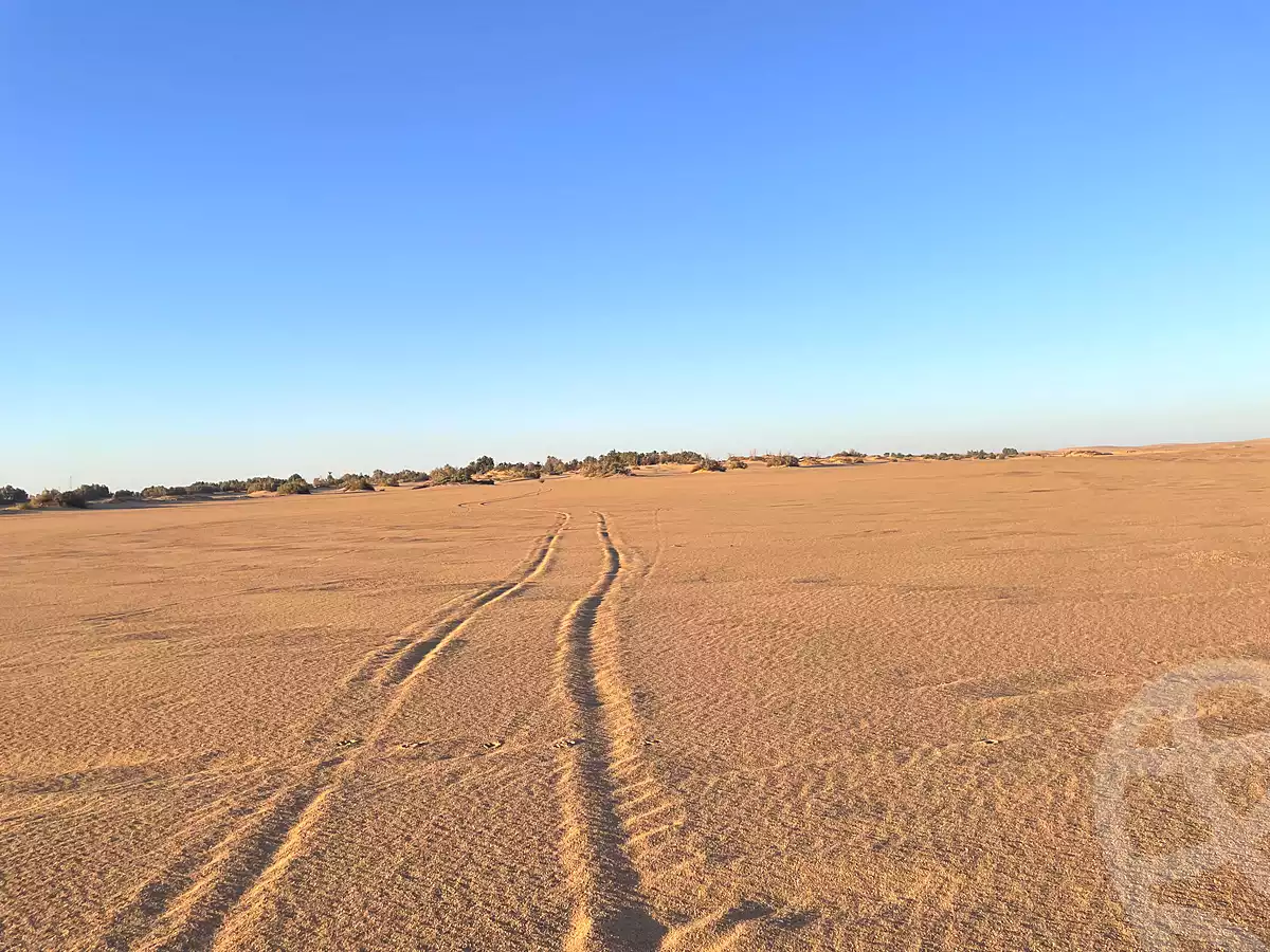 https://aqarmap.com.eg/ar/listing/7140204-for-sale-new-valley-kharga-oasis-markz-baris
