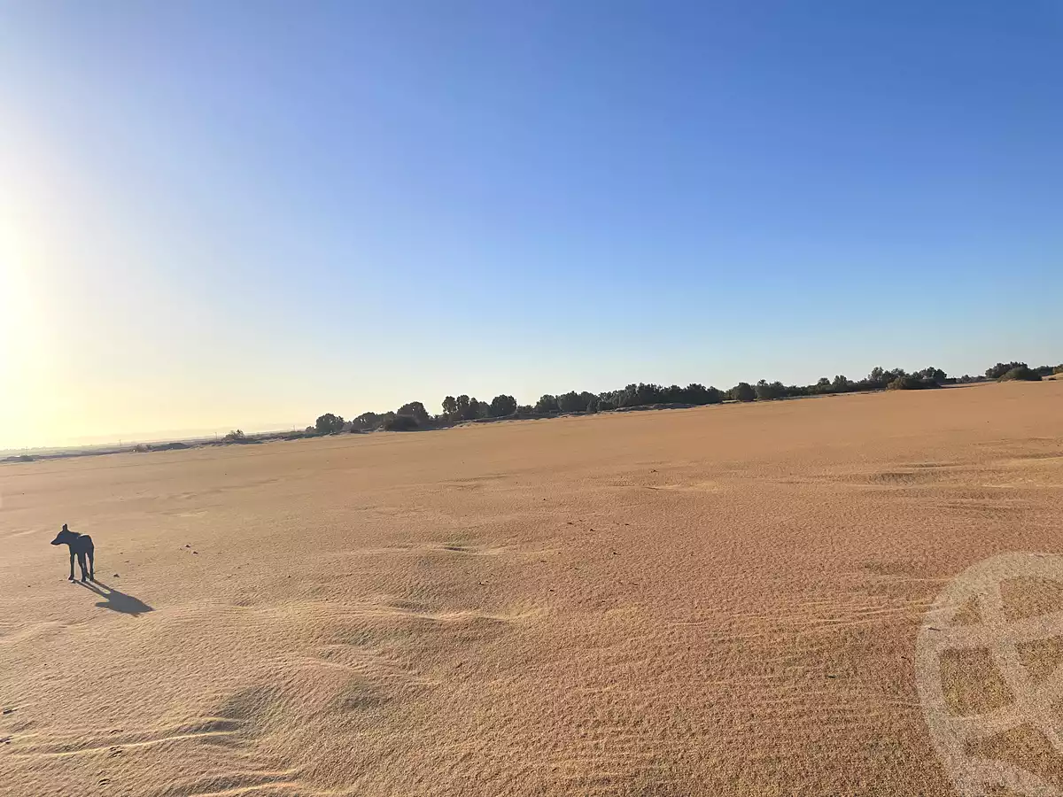 https://aqarmap.com.eg/ar/listing/7140204-for-sale-new-valley-kharga-oasis-markz-baris