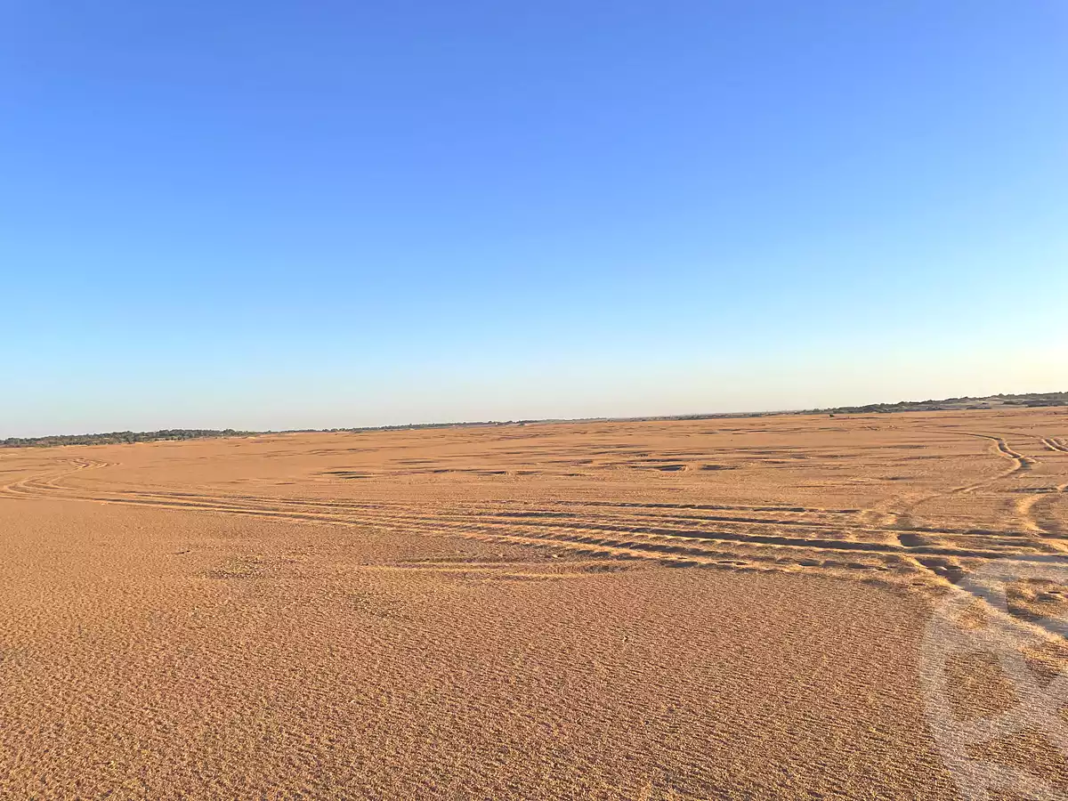https://aqarmap.com.eg/ar/listing/7140204-for-sale-new-valley-kharga-oasis-markz-baris