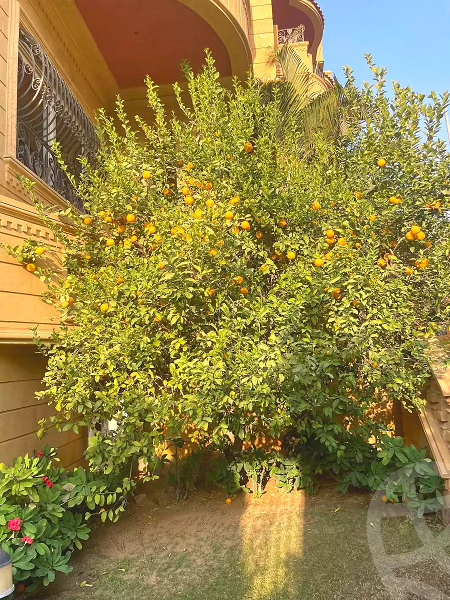 https://aqarmap.com.eg/ar/listing/7141116-for-rent-cairo-new-cairo-el-narges-el-narges-6-kaeb-ebn-malek-st