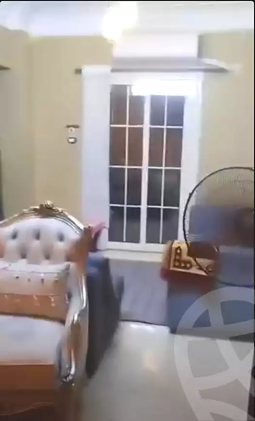 https://aqarmap.com.eg/en/listing/7142430-for-sale-cairo-ain-shams-mnshy-lthryr