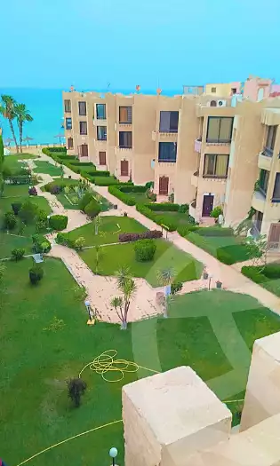 https://aqarmap.com.eg/ar/listing/7145053-for-rent-ismailia-fayed