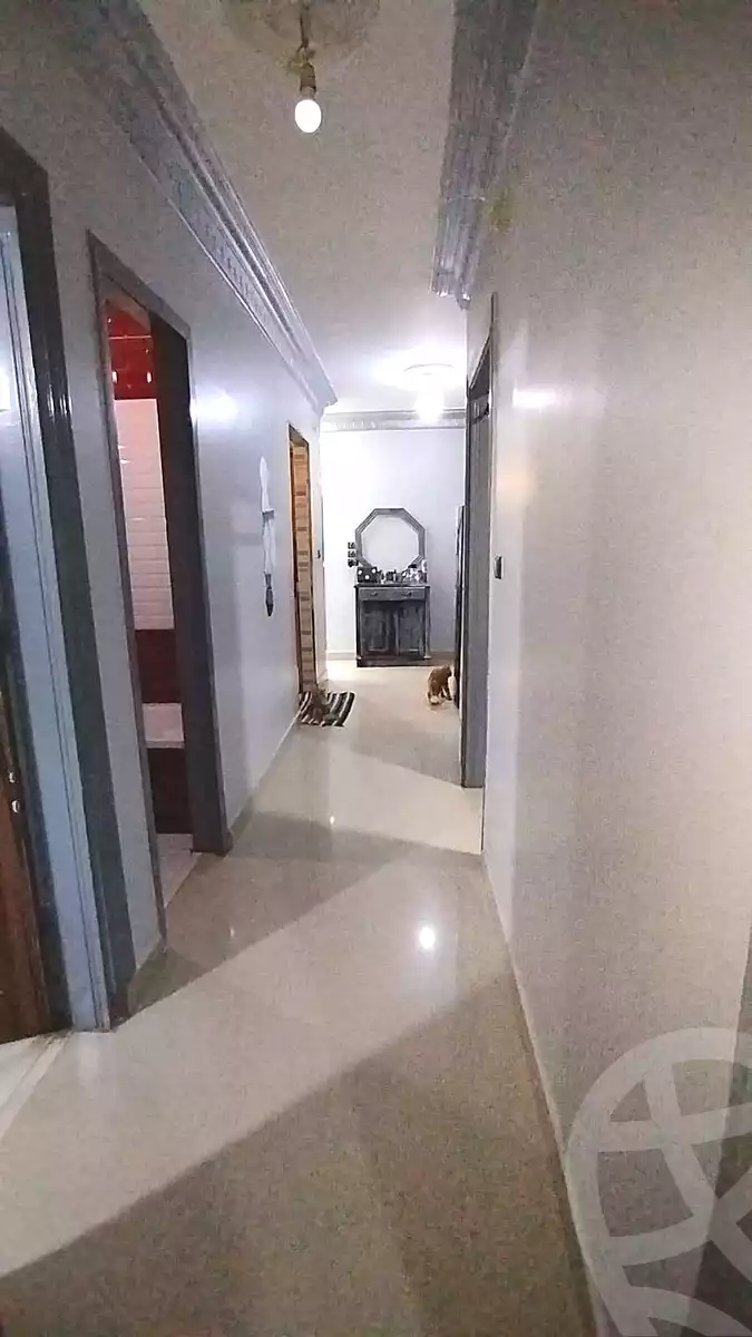 https://aqarmap.com.eg/en/listing/7144506-for-sale-cairo-ain-shams-alf-maskn-ismail-el-fangari-st
