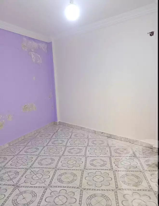 https://aqarmap.com.eg/ar/listing/7149187-for-sale-cairo-ain-shams-jsr-lswys-kamal-hegab-st