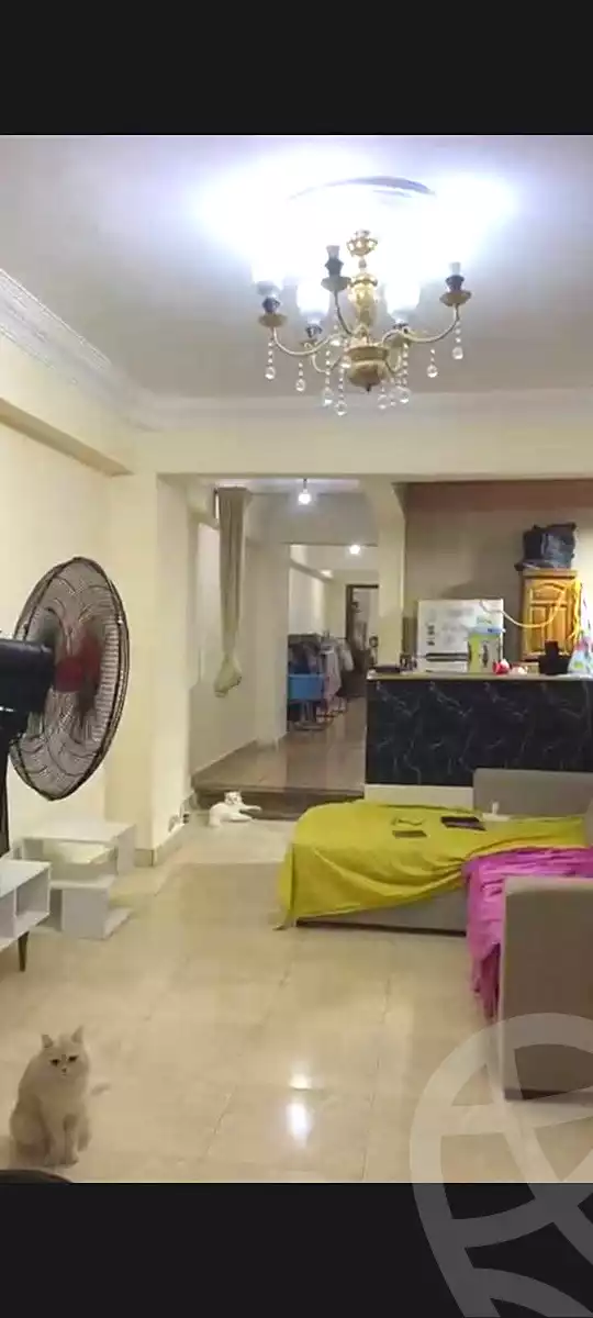 https://aqarmap.com.eg/en/listing/7151272-for-sale-cairo-faisal-el-maryotyah