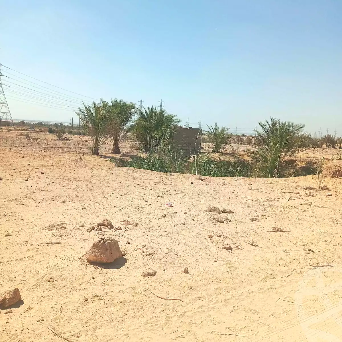 https://aqarmap.com.eg/ar/listing/7153285-for-sale-beni-suef-el-wasta-el-wasta-city