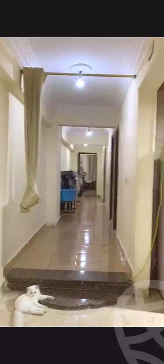 https://aqarmap.com.eg/en/listing/7155403-for-sale-cairo-faisal-el-maryotyah