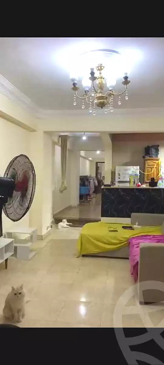 https://aqarmap.com.eg/en/listing/7155403-for-sale-cairo-faisal-el-maryotyah