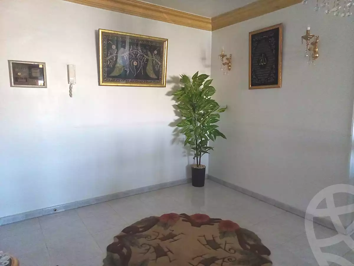 https://aqarmap.com.eg/en/listing/7155521-for-sale-cairo-nasr-city-mostafa-el-nahaas-st