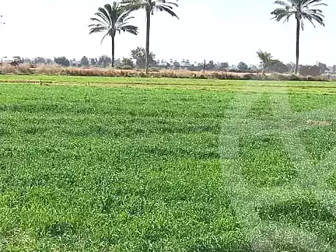 https://aqarmap.com.eg/ar/listing/7157267-for-sale-monufia-birket-el-sab