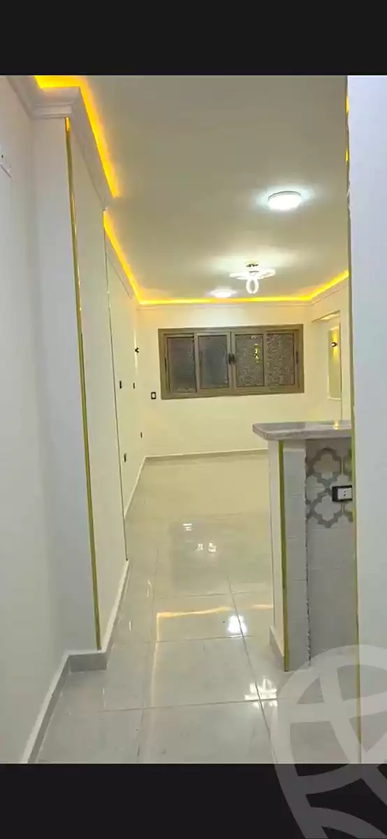 https://aqarmap.com.eg/en/listing/7159589-for-sale-cairo-ain-shams-mnshy-lthryr