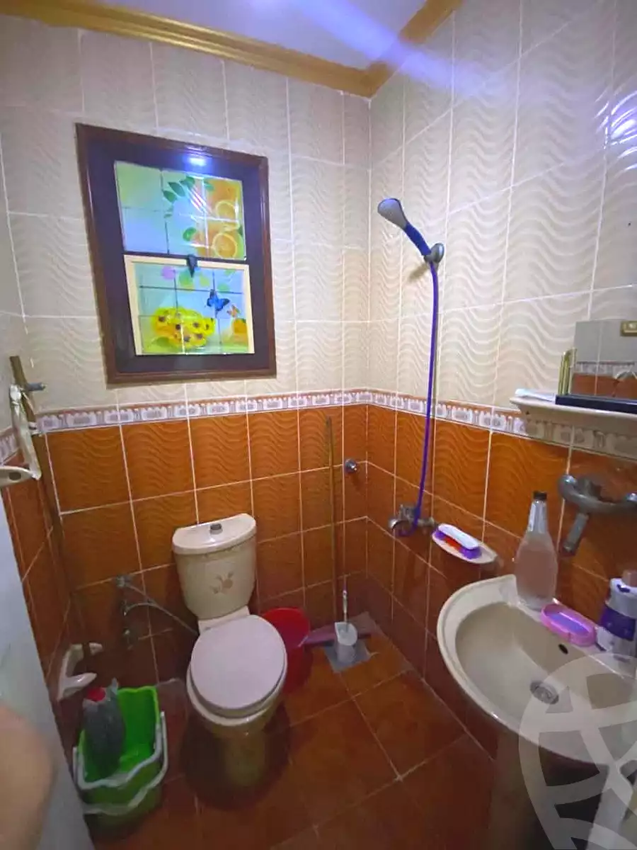 https://aqarmap.com.eg/en/listing/7160865-for-sale-alexandria-lsywf-el-falki