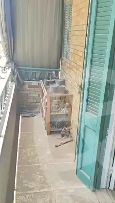 https://aqarmap.com.eg/en/listing/7163988-for-sale-cairo-el-marg