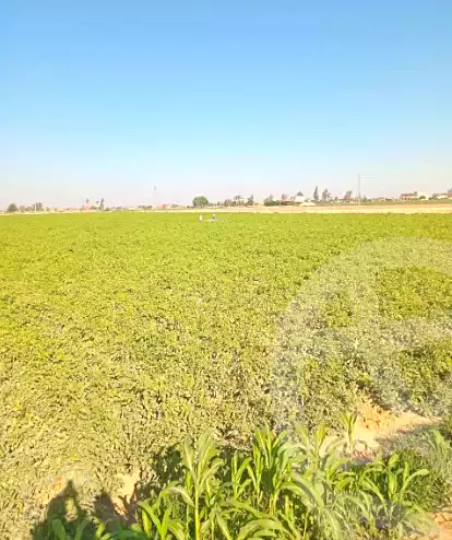 https://aqarmap.com.eg/ar/listing/7164518-for-sale-ismailia-fayed