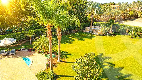 https://aqarmap.com.eg/ar/listing/7164643-for-sale-cairo-el-sheikh-zayed-city-lshykh-zyd-ljdyd-wdy-lnkhyl