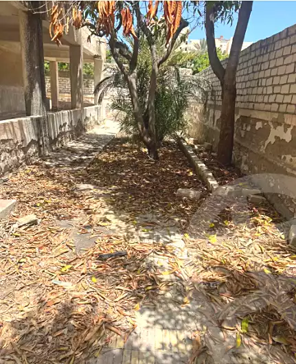 https://aqarmap.com.eg/en/listing/7165152-for-sale-alexandria-al-agamy-bw-ywsf