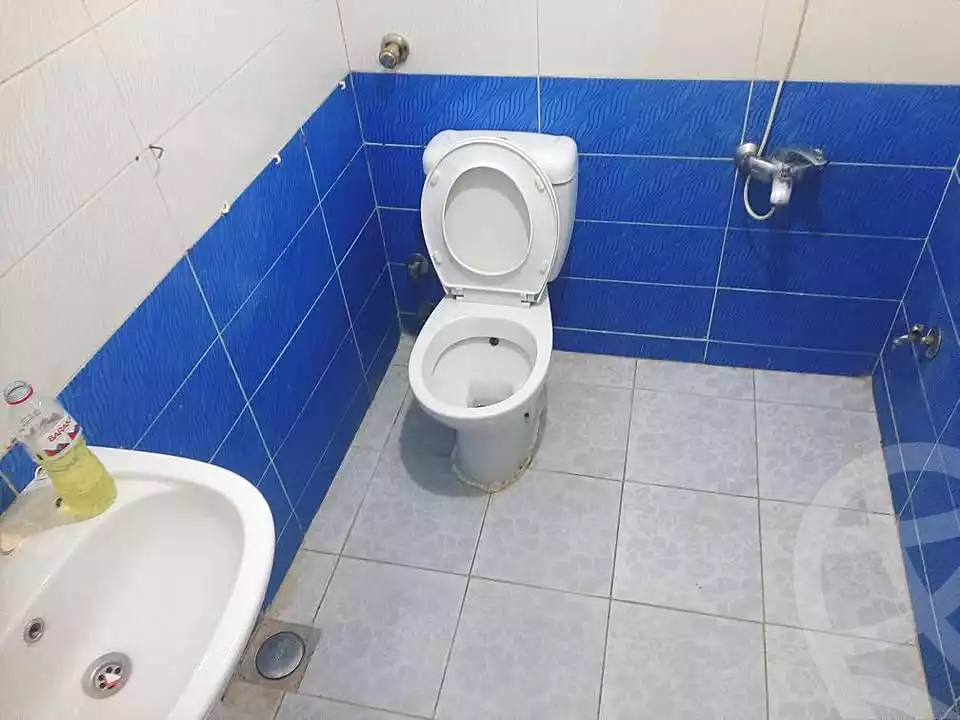 https://aqarmap.com.eg/en/listing/7165935-for-sale-alexandria-lsywf-el-falki