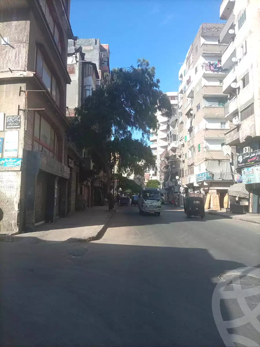 https://aqarmap.com.eg/en/listing/7166788-for-sale-alexandria-mostafa-kamel-area