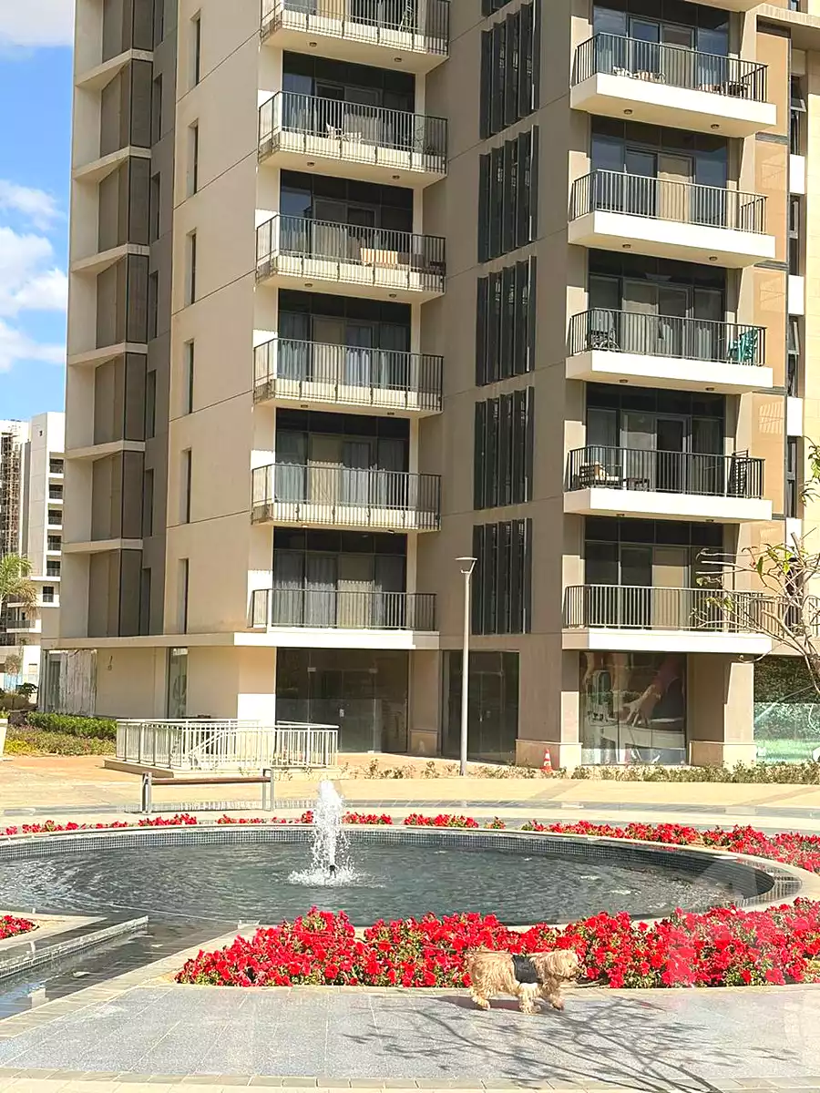 https://aqarmap.com.eg/ar/listing/7167677-for-rent-cairo-el-sheikh-zayed-city-compounds-zyd-wr-llttwyr-z-tower