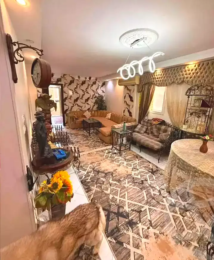 https://aqarmap.com.eg/en/listing/7169201-for-sale-cairo-hadayek-el-koba-ahmed-zaki-st