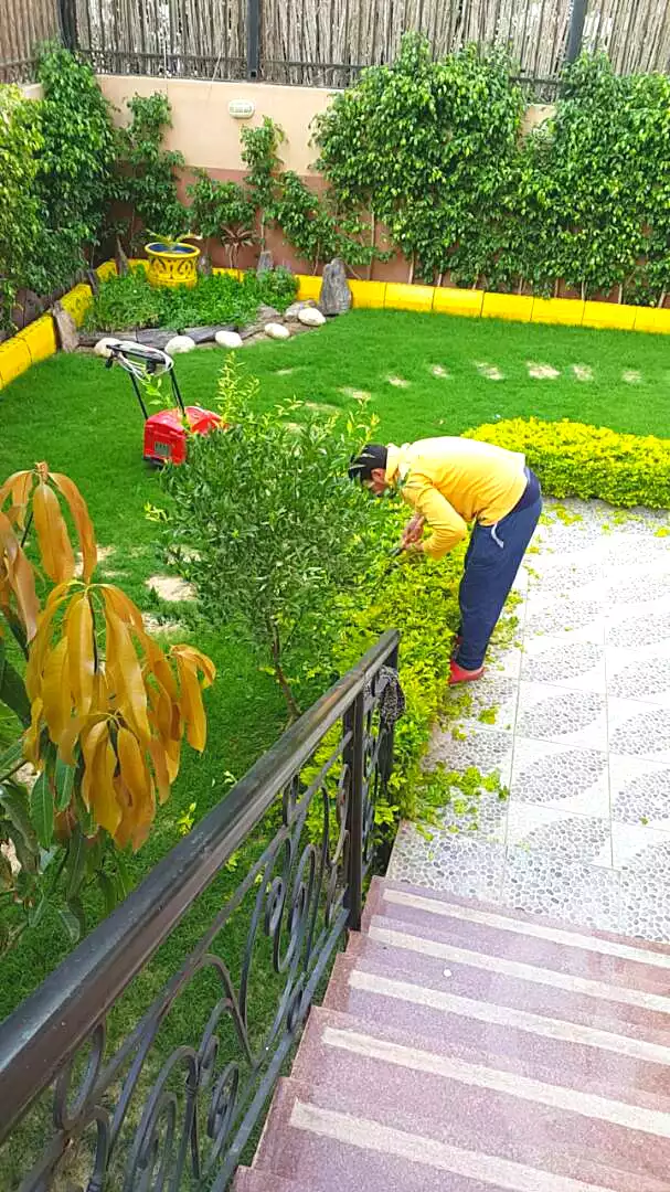 https://aqarmap.com.eg/ar/listing/7169454-for-sale-cairo-el-sheikh-zayed-city-compounds-continental-gardens