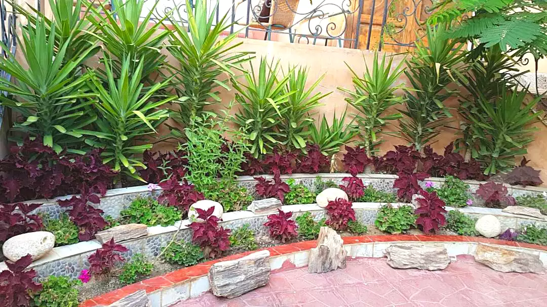 https://aqarmap.com.eg/ar/listing/7169454-for-sale-cairo-el-sheikh-zayed-city-compounds-continental-gardens