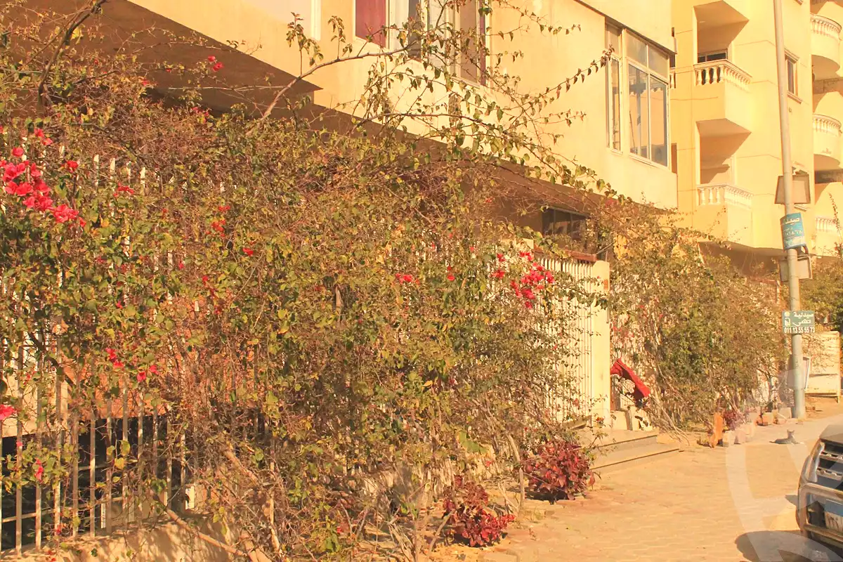 https://aqarmap.com.eg/ar/listing/7169837-for-rent-cairo-new-cairo-el-narges-el-narges-omarat-mohamed-sabry-abu-alam-st