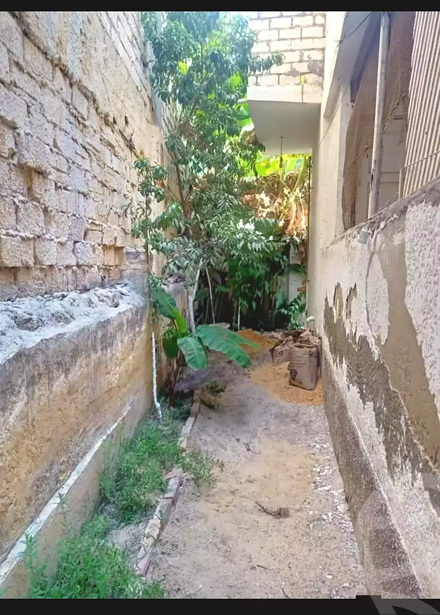 https://aqarmap.com.eg/ar/listing/7172660-for-sale-alexandria-al-agamy-lbytsh-al-aeda-al-kadema-st