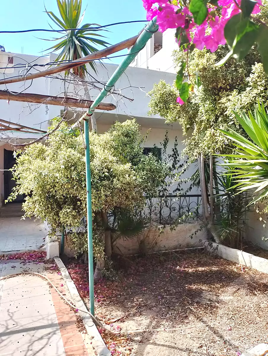 https://aqarmap.com.eg/ar/listing/7173078-for-sale-alexandria-abu-talat