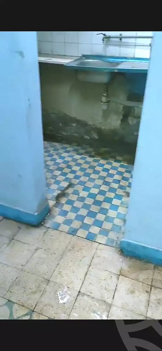 https://aqarmap.com.eg/en/listing/7174244-for-sale-cairo-faisal-awel-faisal