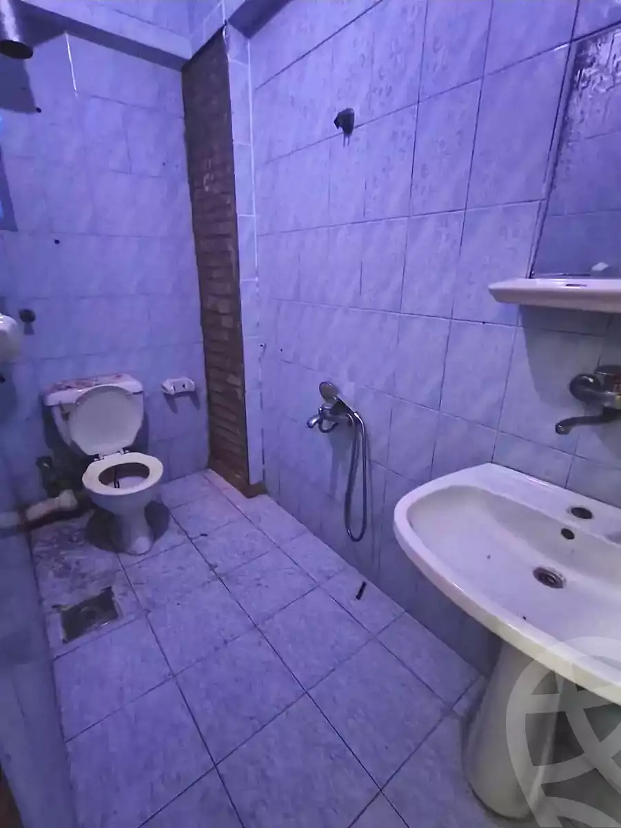 https://aqarmap.com.eg/en/listing/7176456-for-sale-alexandria-lsywf-el-falki