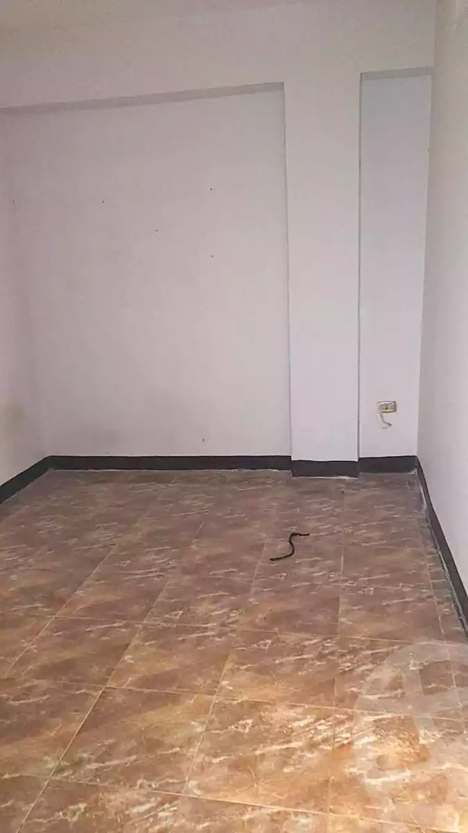 https://aqarmap.com.eg/en/listing/7176862-for-rent-cairo-el-zaytun-lzytwn-lshrqy