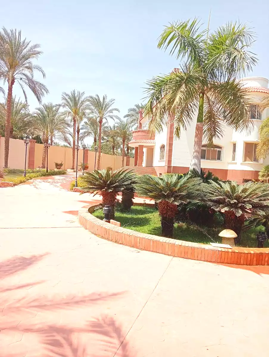 https://aqarmap.com.eg/en/listing/7178523-for-sale-cairo-el-mansuriyyah-ahmed-zaghloul-st