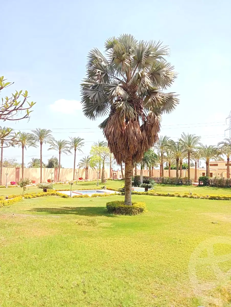 https://aqarmap.com.eg/en/listing/7178523-for-sale-cairo-el-mansuriyyah-ahmed-zaghloul-st