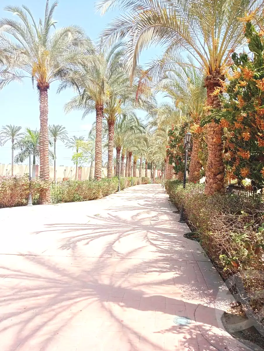 https://aqarmap.com.eg/en/listing/7178523-for-sale-cairo-el-mansuriyyah-ahmed-zaghloul-st