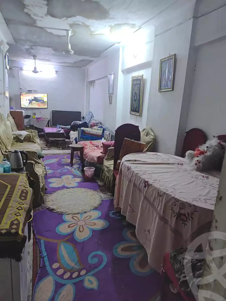 https://aqarmap.com.eg/en/listing/7182966-for-sale-alexandria-el-mandara-shr-jml-bd-lnsr