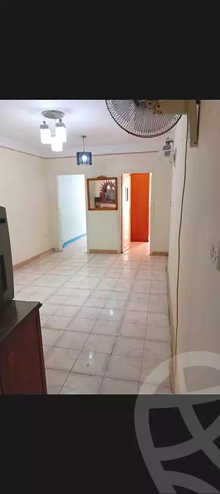 https://aqarmap.com.eg/en/listing/7183023-for-sale-alexandria-al-agamy-l-jmy-lbhry-abd-el-hameed-radwan-st