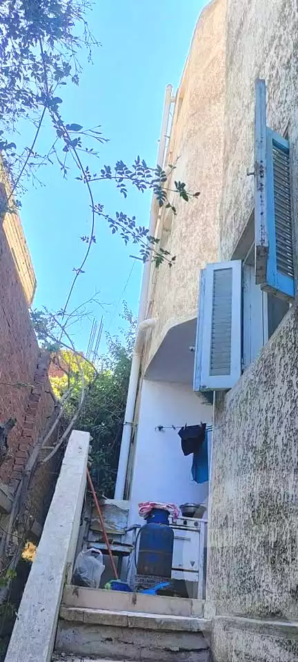 https://aqarmap.com.eg/en/listing/7183220-for-sale-alexandria-al-agamy-lbytsh-el-hanafeya-st