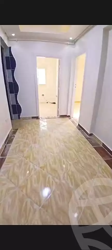https://aqarmap.com.eg/en/listing/7183754-for-sale-alexandria-al-agamy-lbytsh-mohamed-el-fardi-st