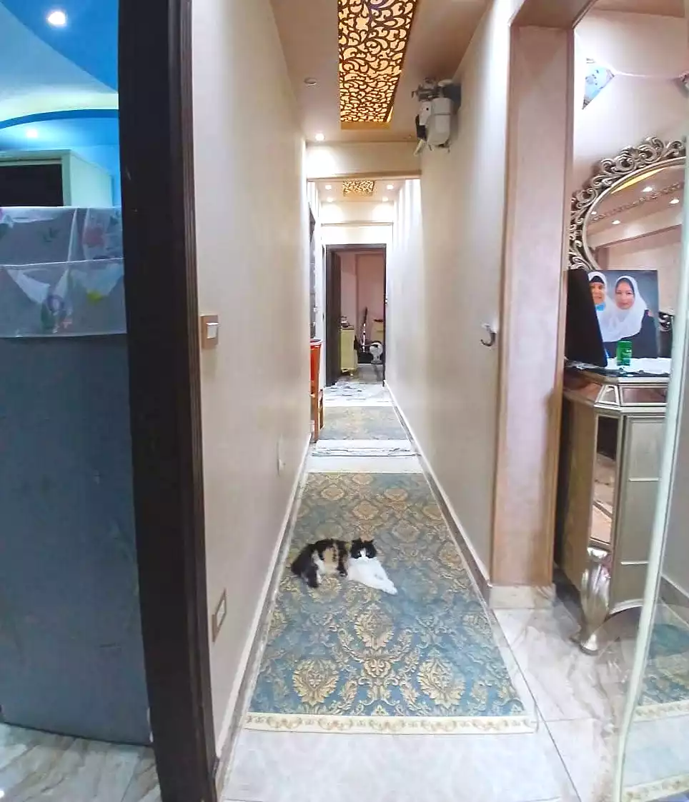 https://aqarmap.com.eg/ar/listing/7186148-for-sale-alexandria-sydy-bshr
