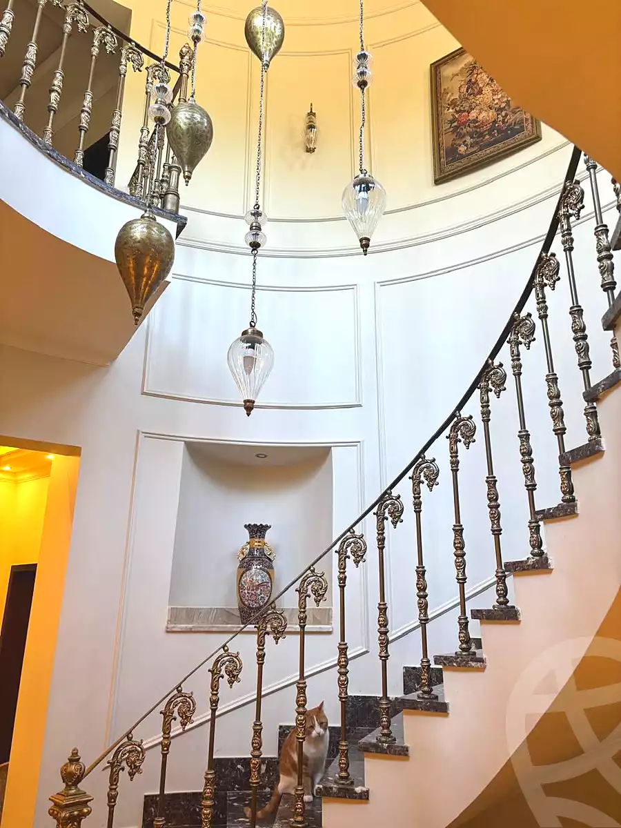 5 BR Villa in Hyde Park, photo 10 of 13