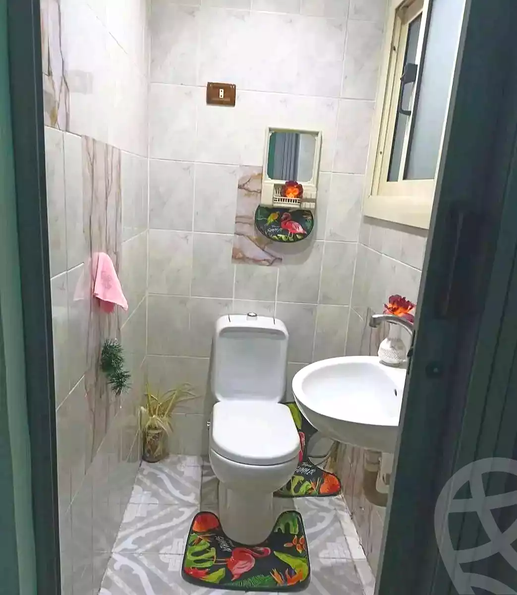 https://aqarmap.com.eg/en/listing/7189156-for-rent-cairo-faisal-el-maryotyah