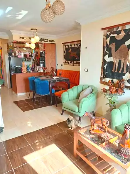 https://aqarmap.com.eg/en/listing/7190737-for-sale-cairo-el-haram-shareaa-khatem-el-morsalen