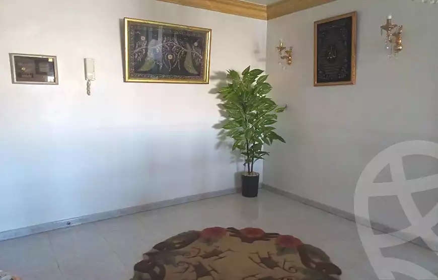 https://aqarmap.com.eg/en/listing/7190798-for-sale-cairo-nasr-city-mostafa-el-nahaas-st