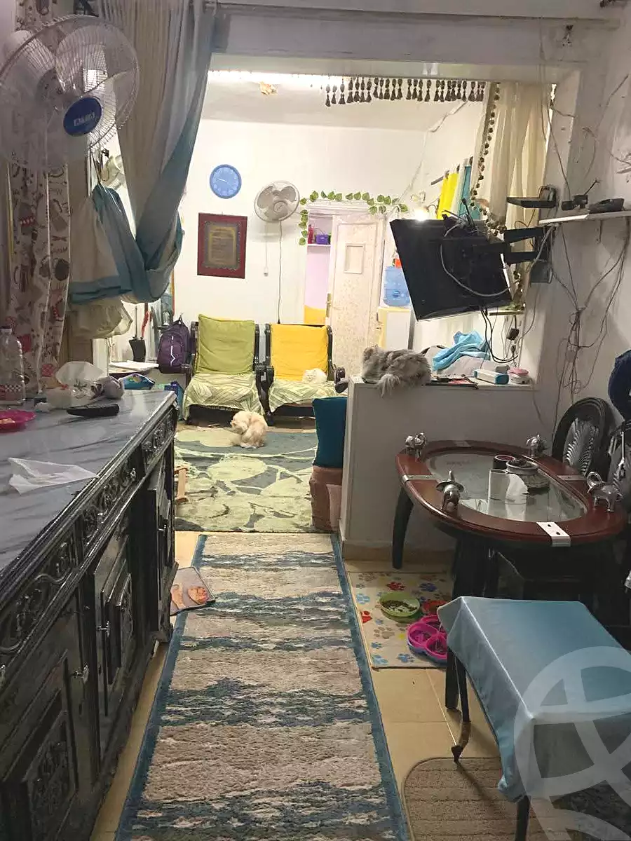 https://aqarmap.com.eg/en/listing/7190816-for-sale-cairo-ain-shams-ain-shams-el-sharkia