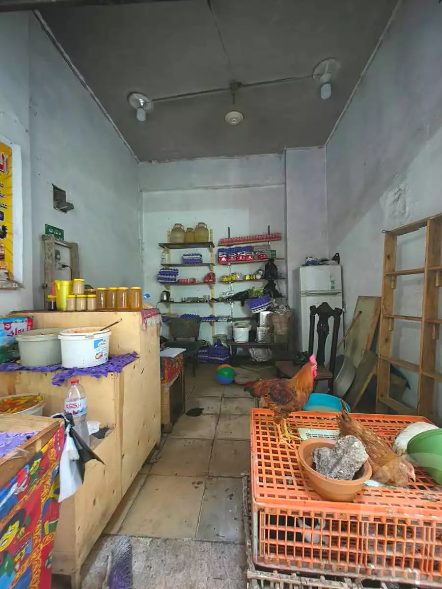 https://aqarmap.com.eg/ar/listing/7193789-for-rent-alexandria-miami-street-56