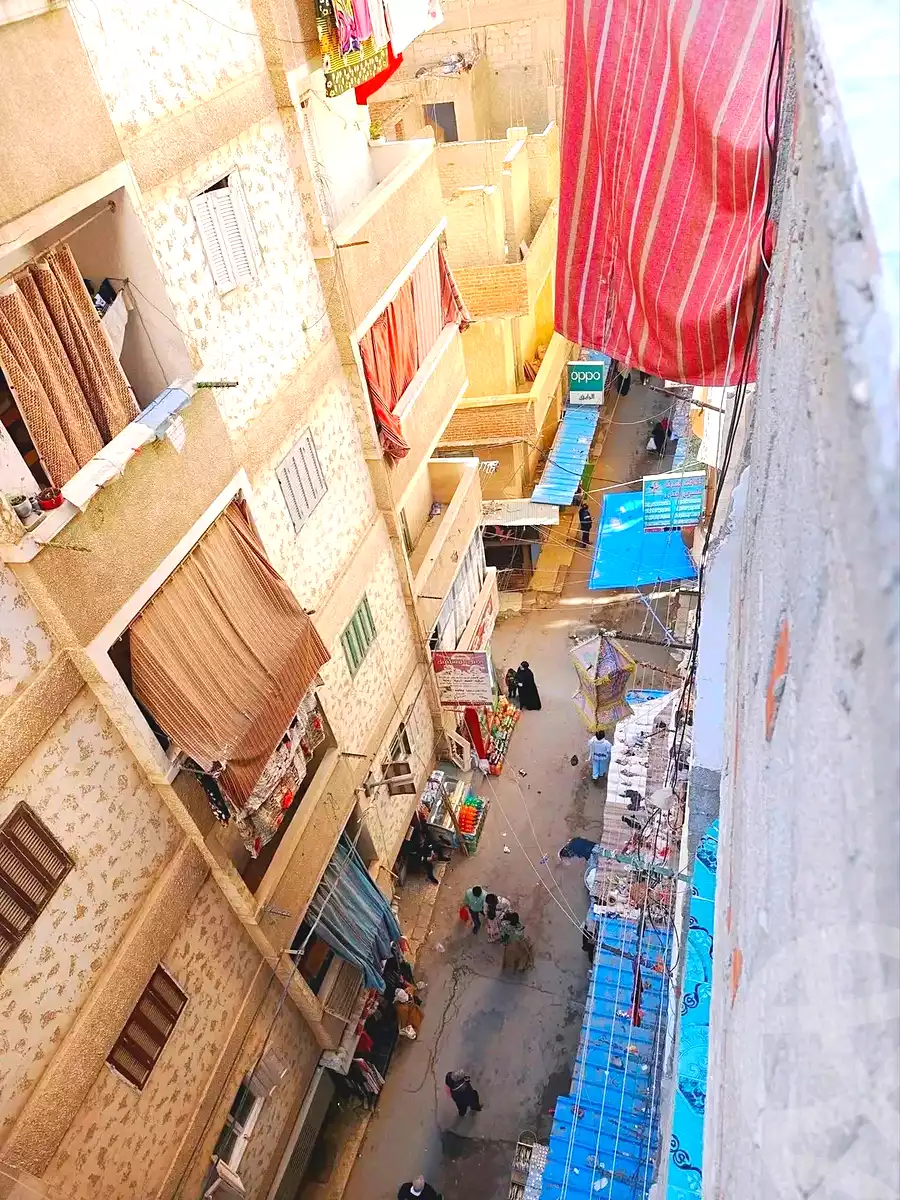 https://aqarmap.com.eg/en/listing/7194464-for-sale-alexandria-el-asafra-l-sfr-qbly